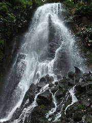 Image showing cascade at the Azores