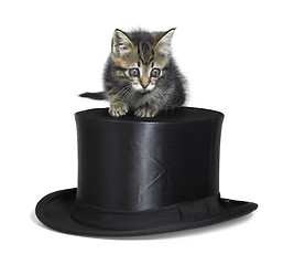 Image showing cute kitten on top hat