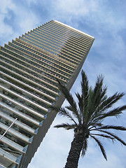 Image showing high rise and palm tree