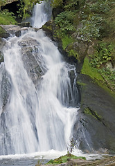 Image showing idyllic Triberg Waterfalls