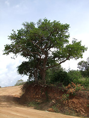 Image showing Kabwoya Wildlife Reserve scenery