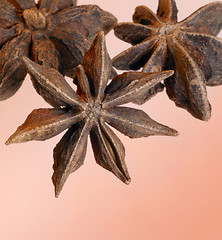 Image showing warm toned star-anise