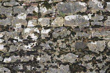 Image showing old overgrown stone wall