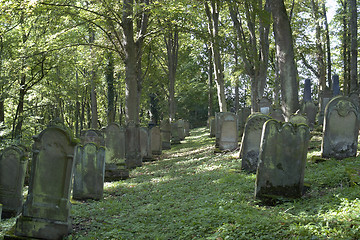 Image showing old gravestone rows