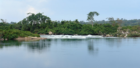 Image showing waterside River Nile scenery near Jinja in Uganda