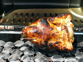 Image showing BARBEQUE CHICKEN