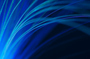 Image showing Optical fibers