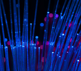 Image showing Optical fibers