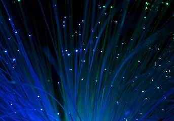 Image showing Optical fibers