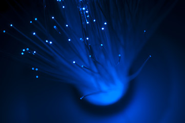 Image showing Optical fibers