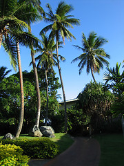 Image showing Fiji