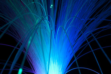 Image showing Optical fibers