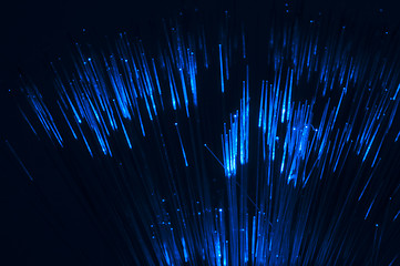 Image showing Optical fibers