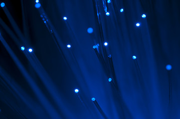 Image showing Optical fibers