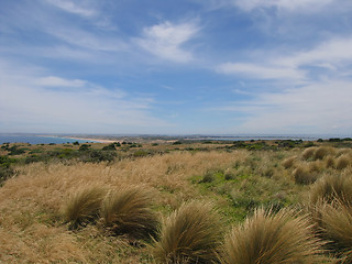 Image showing Philip Island