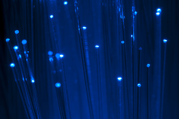 Image showing Optical fibers