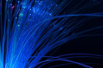 Image showing Optical fibers