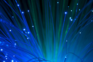 Image showing Optical fibers