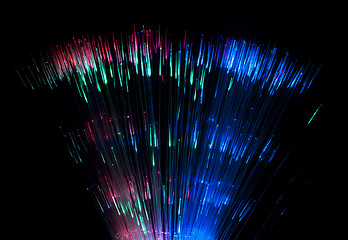 Image showing Optical fibers