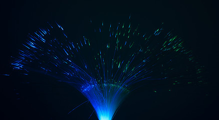Image showing Optical fibers