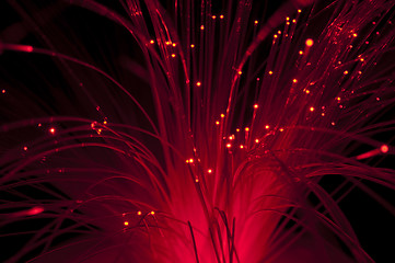 Image showing Optical fibers