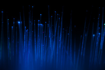 Image showing Optical fibers