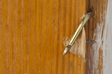 Image showing Door lock close up