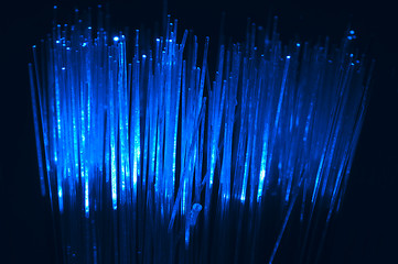 Image showing Optical fibers