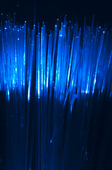 Image showing Optical fibers