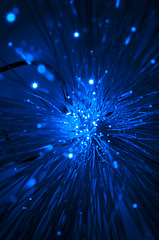 Image showing Optical fibers