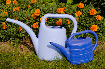Image showing Watering cans near flowers.