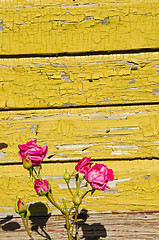 Image showing Bouquet of pink roses.