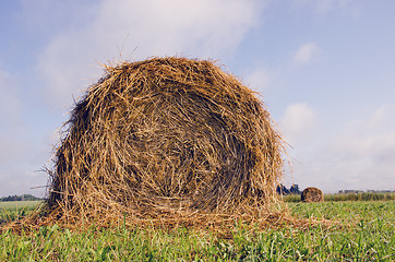 Image showing Rolls of hay 