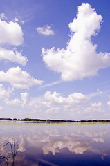 Image showing Summer lake view.