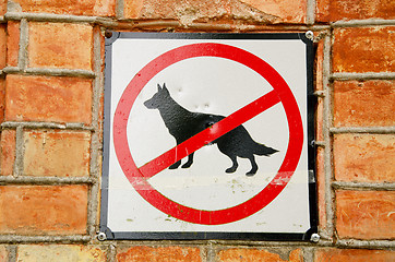 Image showing No dogs.