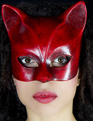 Image showing Portrait of a masked woman