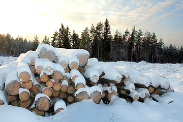 Image showing Snow Covered Wooden Logs