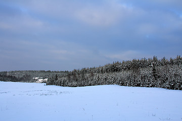 Image showing Cloudy day of winter in the country