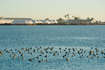 Image showing Salt refinery