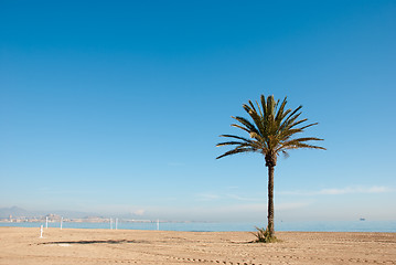 Image showing Sunny beach