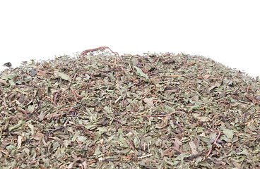 Image showing Dried peppermint