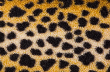 Image showing False leopard skin spots