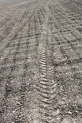 Image showing Relief of tread on soil