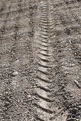 Image showing Pattern on soil