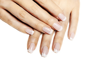 Image showing French Manicure