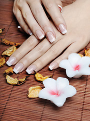 Image showing French Manicure