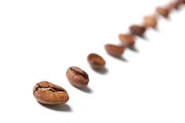 Image showing coffee beans in a row