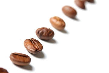 Image showing coffee beans in a row