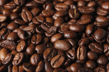 Image showing coffee beans