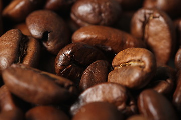 Image showing coffee beans